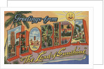 Greetings from Florida Postcard by Anonymous