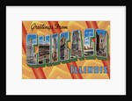 Greetings from Chicago Illinois Postcard by Anonymous