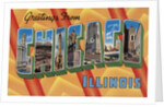 Greetings from Chicago Illinois Postcard by Anonymous