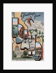 Greetings from Idaho Postcard by Anonymous