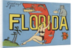 Greetings from Florida Postcard by Anonymous
