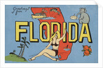 Greetings from Florida Postcard by Anonymous