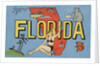 Greetings from Florida Postcard by Anonymous