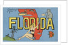 Greetings from Florida Postcard by Anonymous