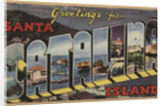 Greetings from Santa Catalina Island Postcard by Anonymous