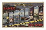 Greetings from Santa Catalina Island Postcard by Anonymous