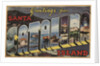 Greetings from Santa Catalina Island Postcard by Anonymous