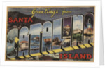Greetings from Santa Catalina Island Postcard by Anonymous