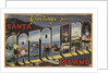 Greetings from Santa Catalina Island Postcard by Anonymous