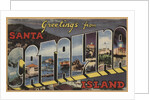 Greetings from Santa Catalina Island Postcard by Anonymous