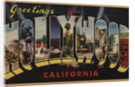 Greetings from Hollywood California Postcard by Anonymous
