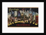 Greetings from Hollywood California Postcard by Anonymous