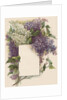 Victorian Illustration of Lilac Border by Anonymous