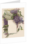 Victorian Illustration of Lilac Border by Anonymous