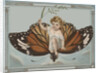 Postcard of Child Riding on Butterfly by Anonymous