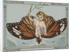 Postcard of Child Riding on Butterfly by Anonymous