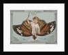 Postcard of Child Riding on Butterfly by Anonymous