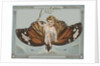 Postcard of Child Riding on Butterfly by Anonymous