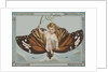 Postcard of Child Riding on Butterfly by Anonymous