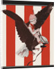 Magazine Illustration of Child Riding on Bald Eagle by Anonymous