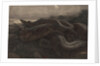 Kaa the Python by Charles Maurice Detmold