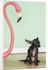 Chihuahua next to a pink flamingo by Anonymous