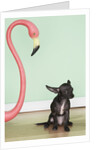 Chihuahua next to a pink flamingo by Anonymous