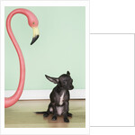 Chihuahua next to a pink flamingo by Anonymous