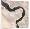 Bend in the River Nile by Anonymous