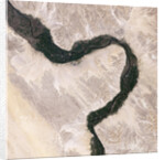 Bend in the River Nile by Anonymous