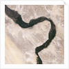 Bend in the River Nile by Anonymous
