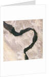 Bend in the River Nile by Anonymous