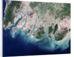 Erosion Due to Clearing of Mangrove Forests in the Irrawaddy River Delta by Anonymous