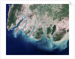 Erosion Due to Clearing of Mangrove Forests in the Irrawaddy River Delta by Anonymous
