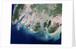 Erosion Due to Clearing of Mangrove Forests in the Irrawaddy River Delta by Anonymous