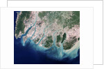 Erosion Due to Clearing of Mangrove Forests in the Irrawaddy River Delta by Anonymous