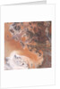 Rocky Terrain East of the Namib Desert Sand Dunes by Anonymous