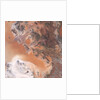 Rocky Terrain East of the Namib Desert Sand Dunes by Anonymous
