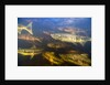Spawning Chum Salmon in Alaska by Anonymous