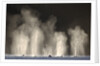 Humpback Whales Spouting While Feeding in Chatham Strait by Anonymous