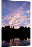 Sunset Over Auke Bay in Alaska by Anonymous
