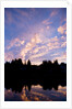 Sunset Over Auke Bay in Alaska by Anonymous