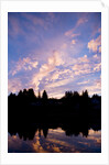 Sunset Over Auke Bay in Alaska by Anonymous