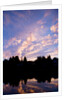 Sunset Over Auke Bay in Alaska by Anonymous