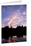 Sunset Over Auke Bay in Alaska by Anonymous