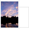 Sunset Over Auke Bay in Alaska by Anonymous