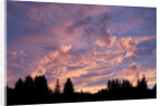 Sunset Over Auke Bay in Alaska by Anonymous