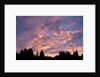 Sunset Over Auke Bay in Alaska by Anonymous