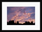 Sunset Over Auke Bay in Alaska by Anonymous