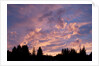 Sunset Over Auke Bay in Alaska by Anonymous